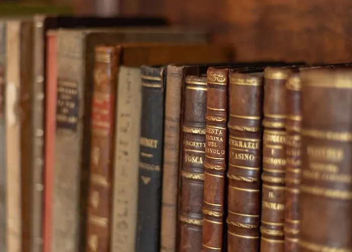 Medici Donnini * アレッツォ